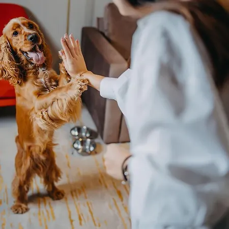 Five Seasons Lägenhetshotell