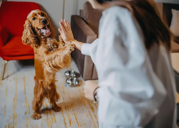 Five Seasons Aparthotel